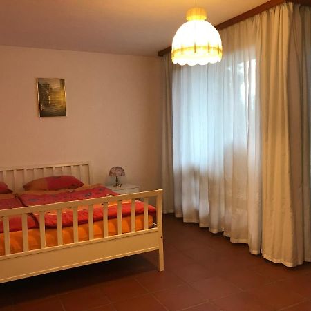 Casa Vignole-Badasci Orselina Dış mekan fotoğraf